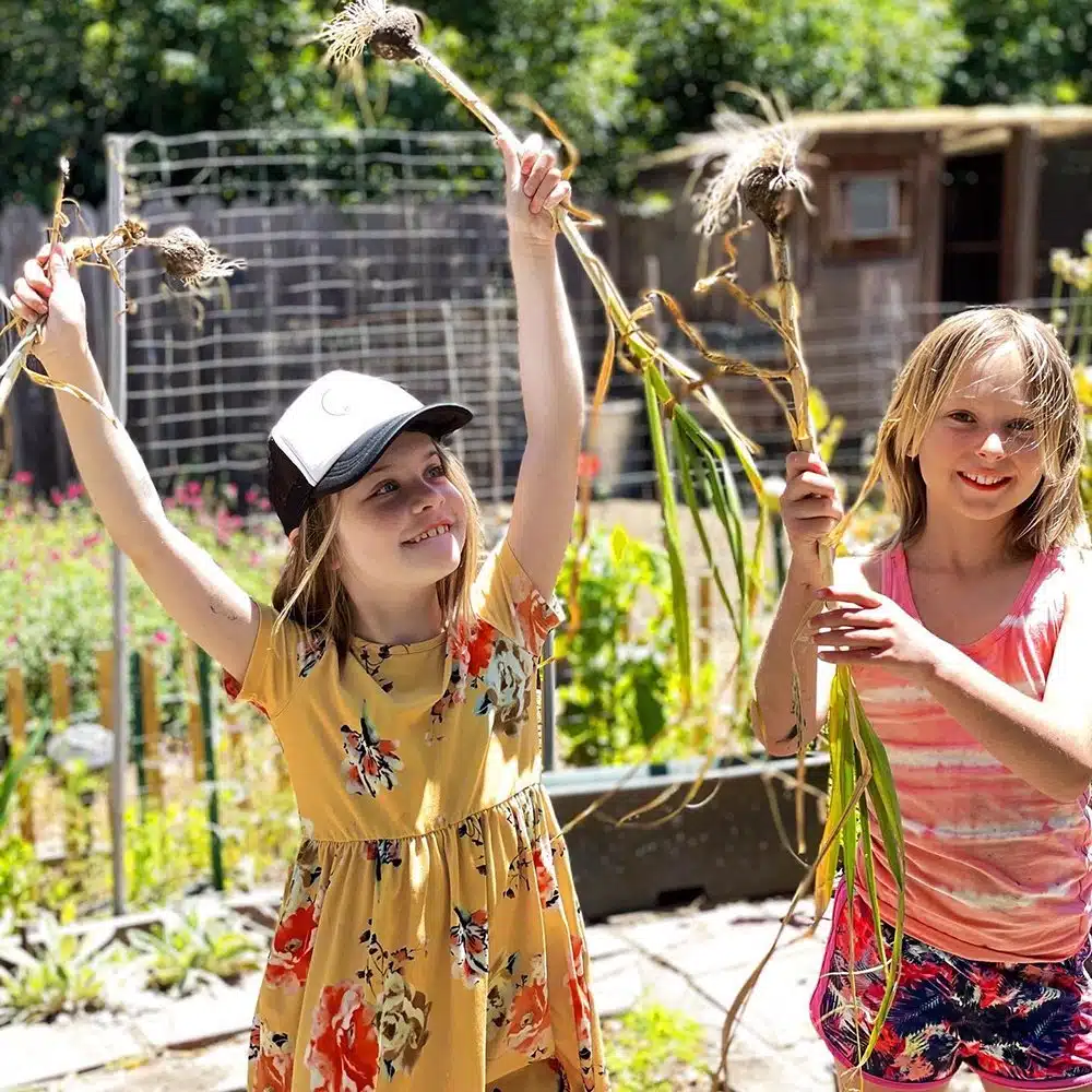 Studio Sprout Summer Camp