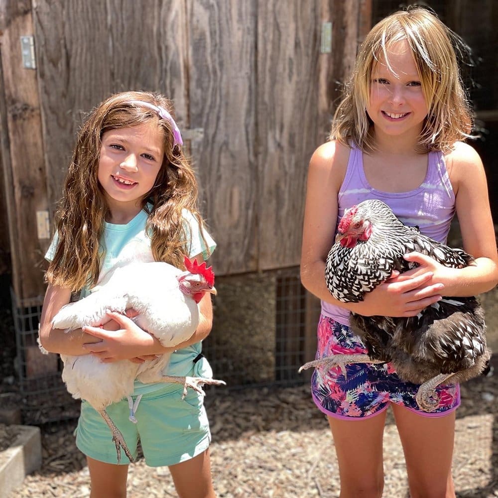 two girls holding chickens