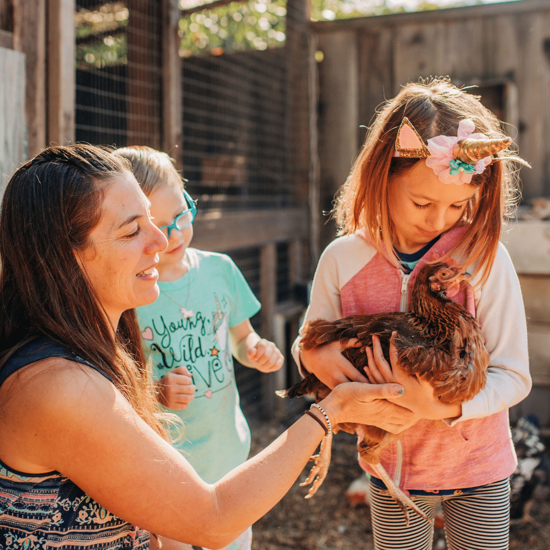 children with chicken at Studio Sprout birthday party