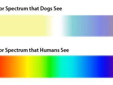color spectrum