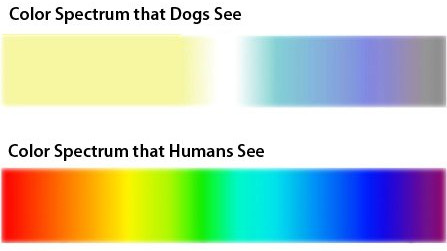 color spectrum